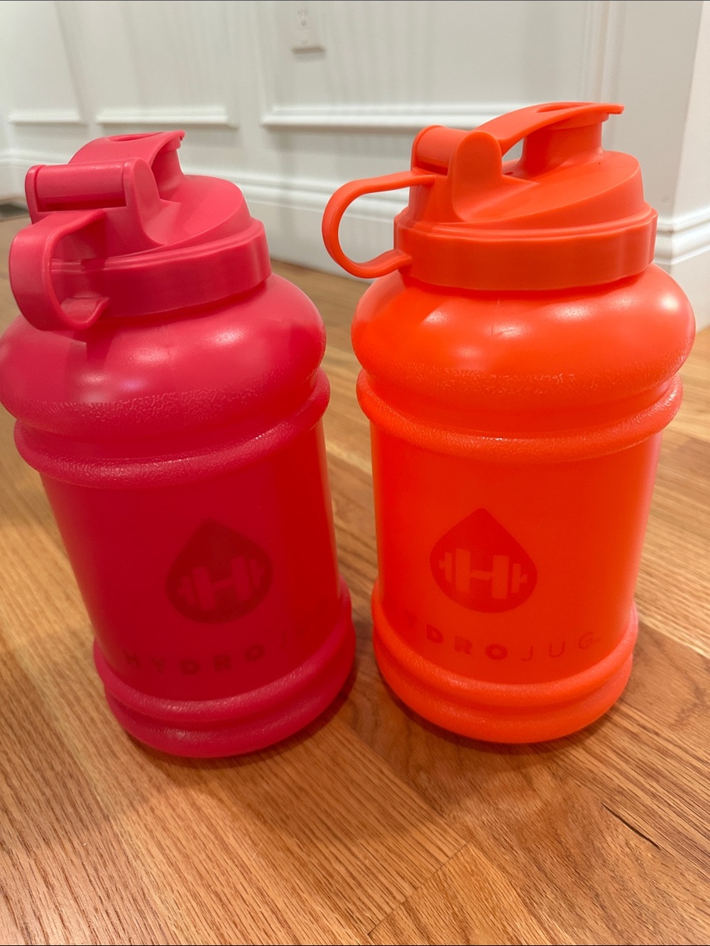 TWO HydroJug Water Jug water bottles Hydro Jug pink orange bright summer